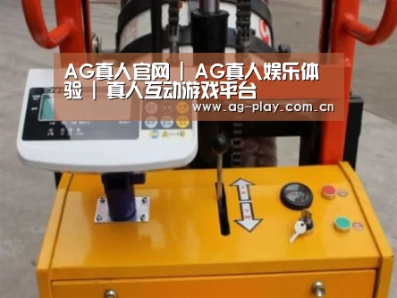 AG真人官网案例展示三