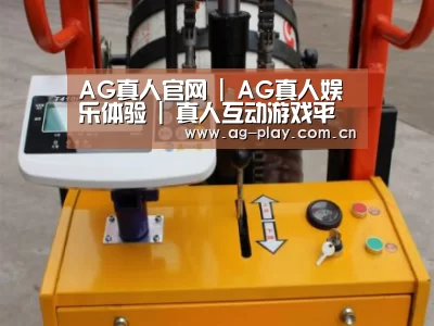 AG真人官网案例展示三(图1)
