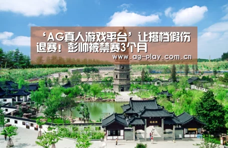 ‘AG真人游戏平台’让搭档假伤退赛!彭帅被禁赛3个月(图3) AG真人娱乐