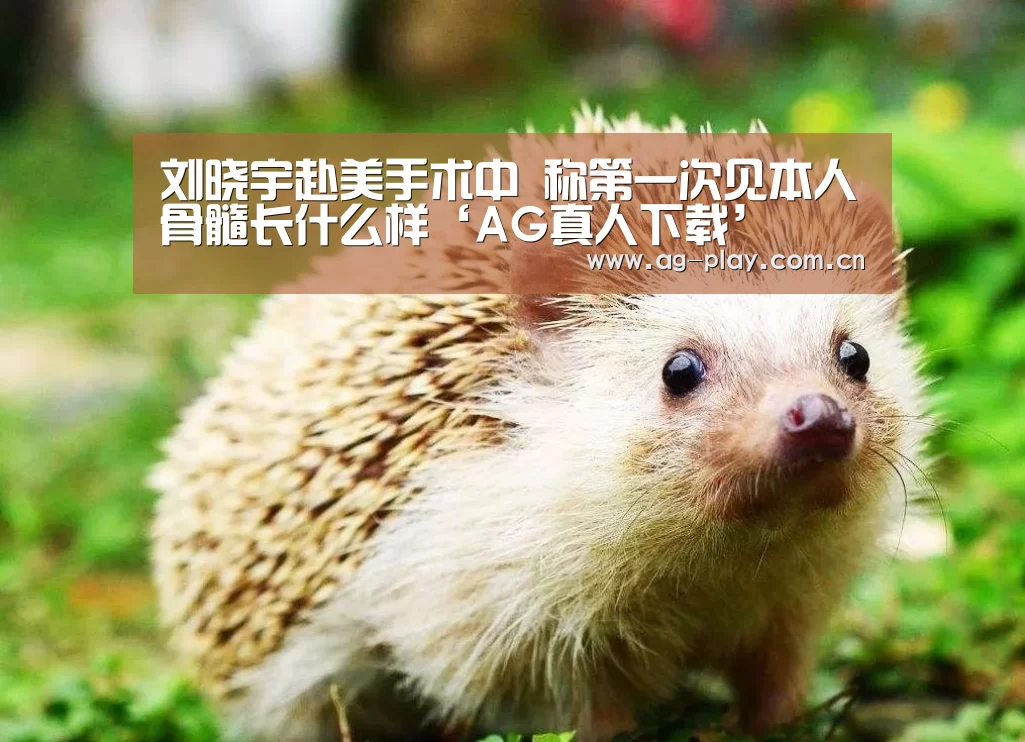 刘晓宇赴美手术中 称第一次见本人骨髓长什么样‘AG真人下载’(图2) AG真人登录