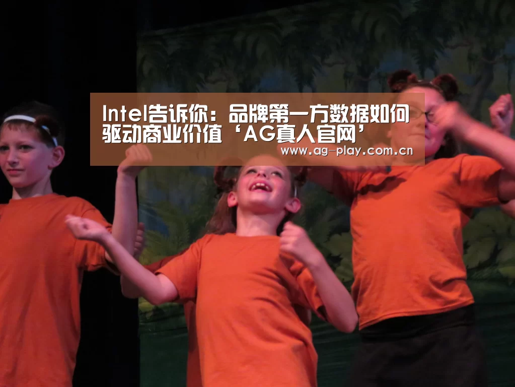 Intel告诉你:品牌第一方数据如何驱动商业价值‘AG真人官网’(图3) AG真人登录